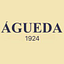 Agueda Colchoneria logo