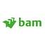 Bam logo