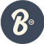 Banch Marketing logo