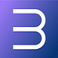 Belva logo