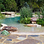 BioNova™ Natural Pools logo