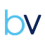 BlueVision logo