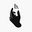 Born logo