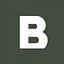 BORN Group logo
