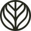 Branch Basics logo