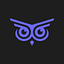 Brandwise: AI Customer Service logo