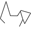Branni Pets logo
