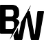 BridgeWeb logo