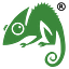 Chameleon logo