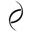 David Rozman logo
