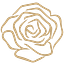 D'nour logo