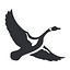 Eddie Bauer logo