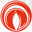 Immergas logo