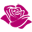 Infinity Rose logo