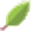 Noah Living logo