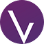 Online Visions logo