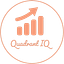 Quadrant IQ Solutions LLC logo