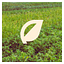 Scapify logo