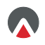 Sharkskin logo