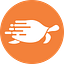 Shipturtle logo