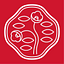 Shiseido logo