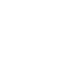 SkinSpirit logo