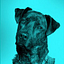Straydog Branding logo
