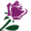 Swane's Nurseries logo