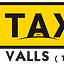 Taxi Vallès logo