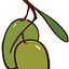 The Olive Scene logo