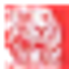 TigerPak logo