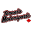 Toronto Motor Sports logo