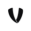 Veto Sports logo