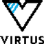 Virtus Performance logo