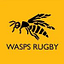 Wasps Rugby logo