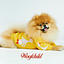 Woofchild logo