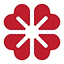 Yotsuba Japan USA logo