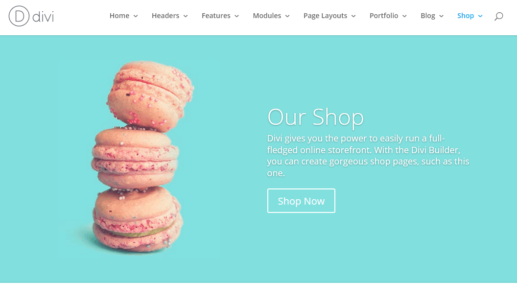 Divi theme
