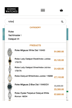 Ecommerce mobile search solutions