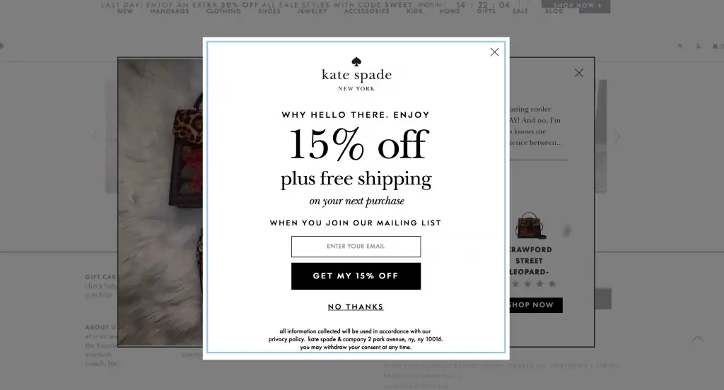 Kate Spade's email marketing offering 15% off for signing up